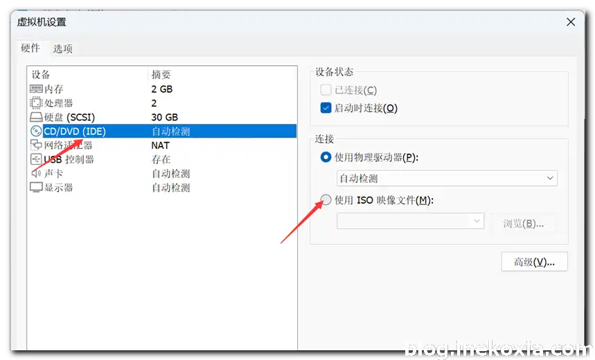 图片17.webp